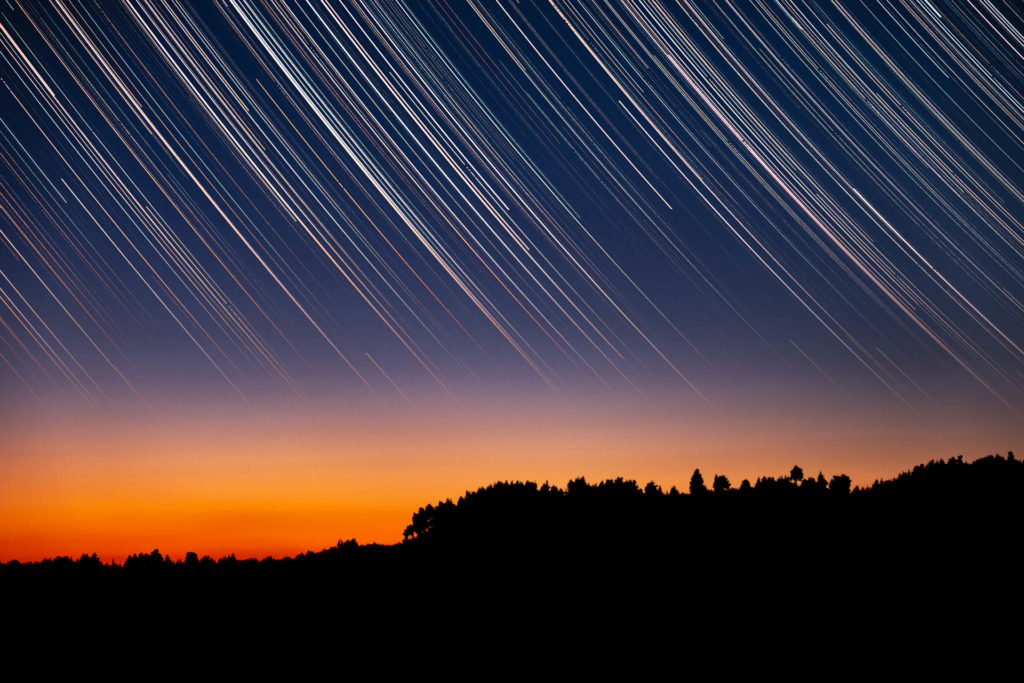 Startrails over trees silhouettes