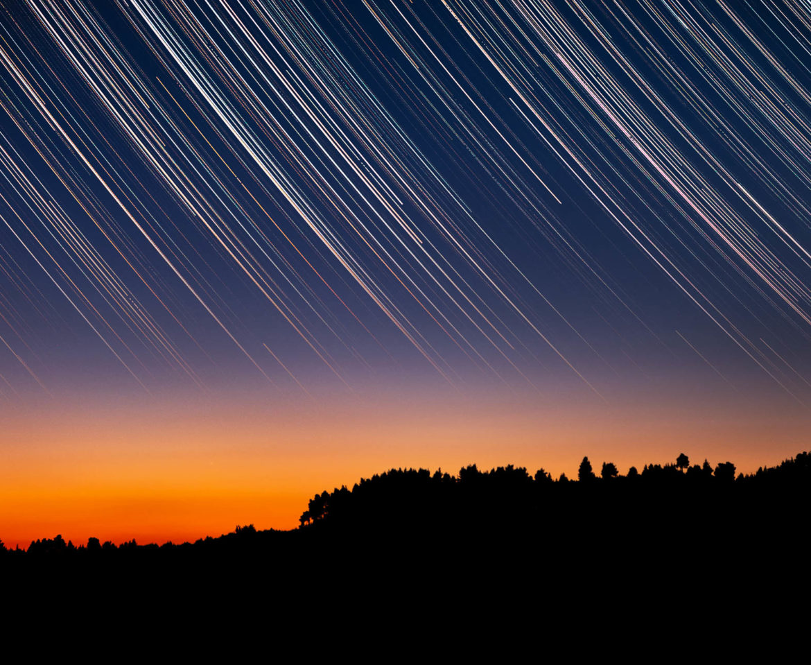 Star trails over tree silhouettes