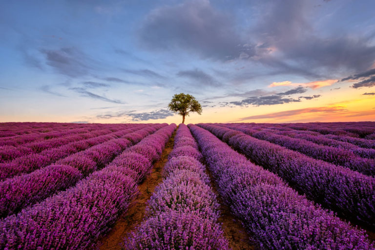How Leading Lines can Improve your Photos - Alexios Ntounas Photography