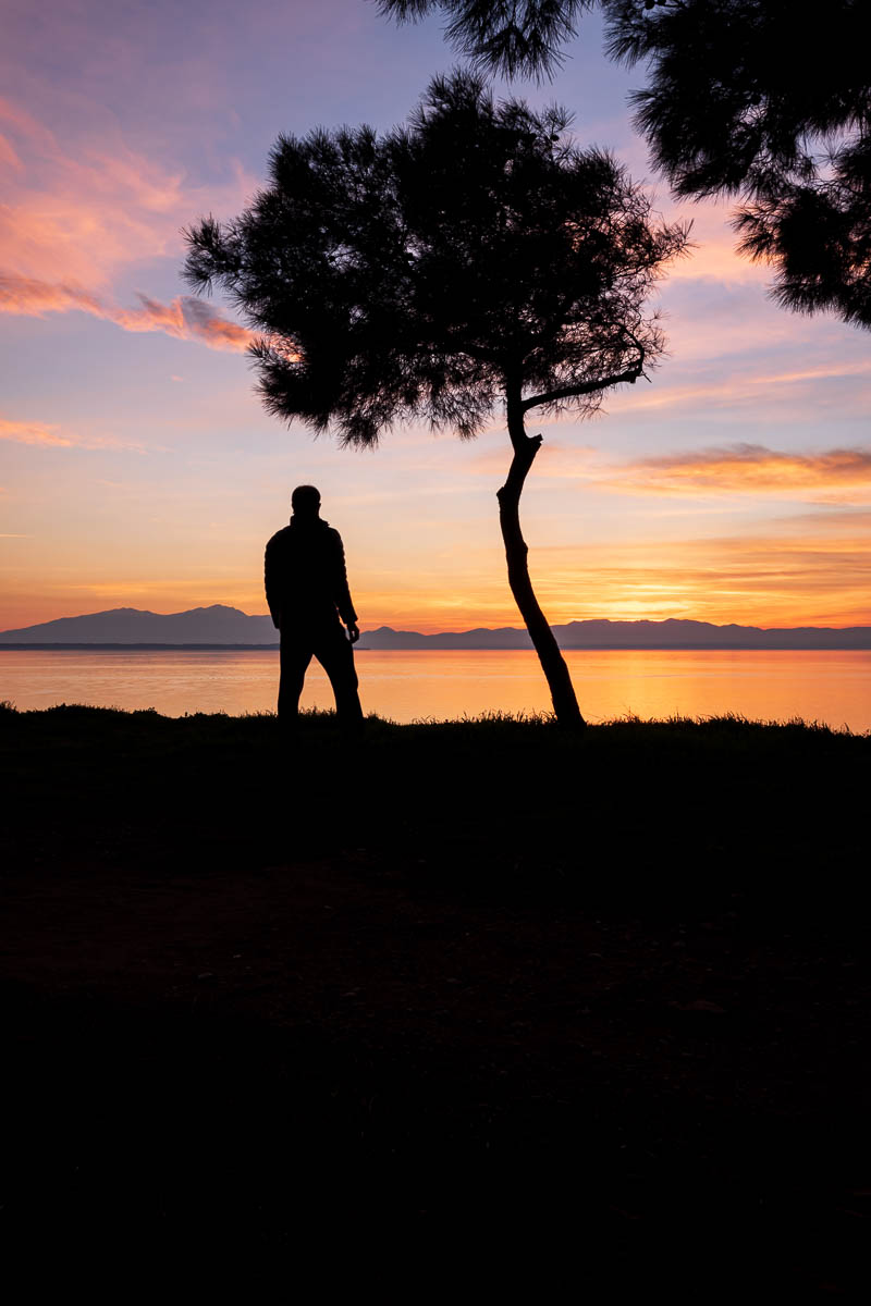Silhouette of a Lone Tree and a Man Overlooking the Sea at Sunset