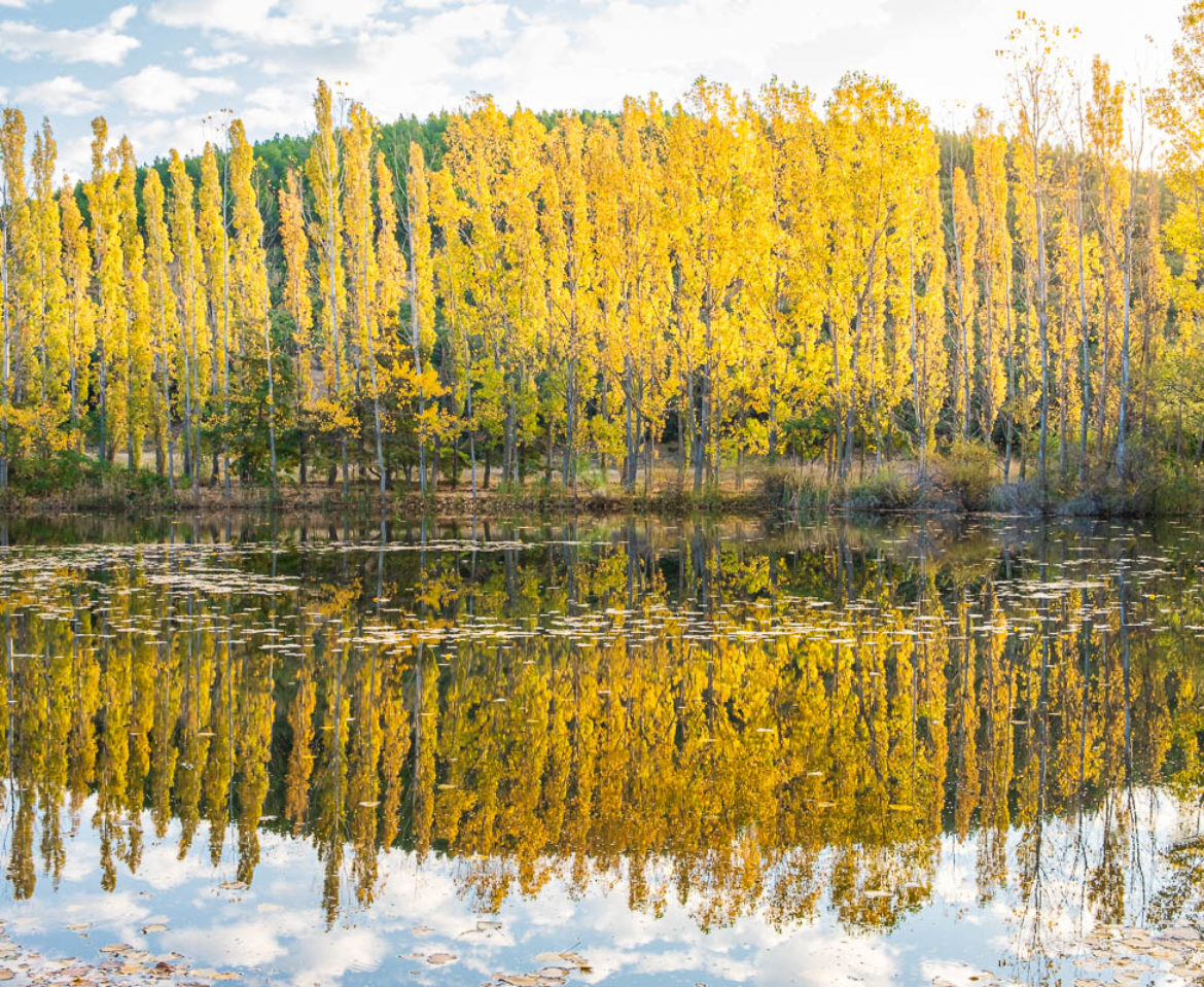 The Artificial Lake of Oreokastro in Thessaloniki