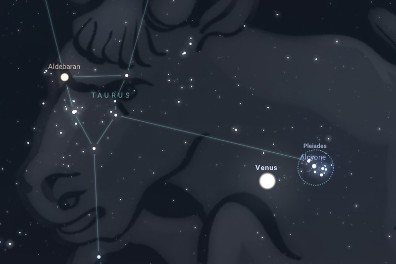 Venus meets Pleiades