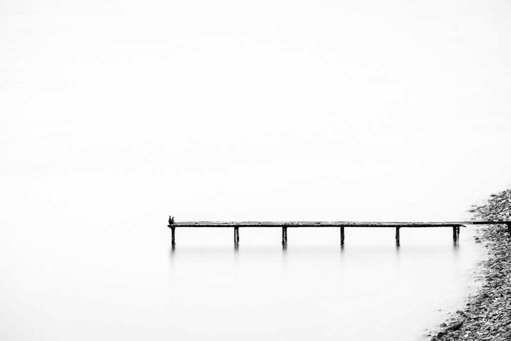 Birds Sitting on an Old Pier in Black and White