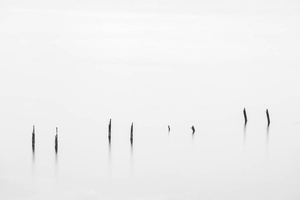 Old Poles in the Sea in Black and White